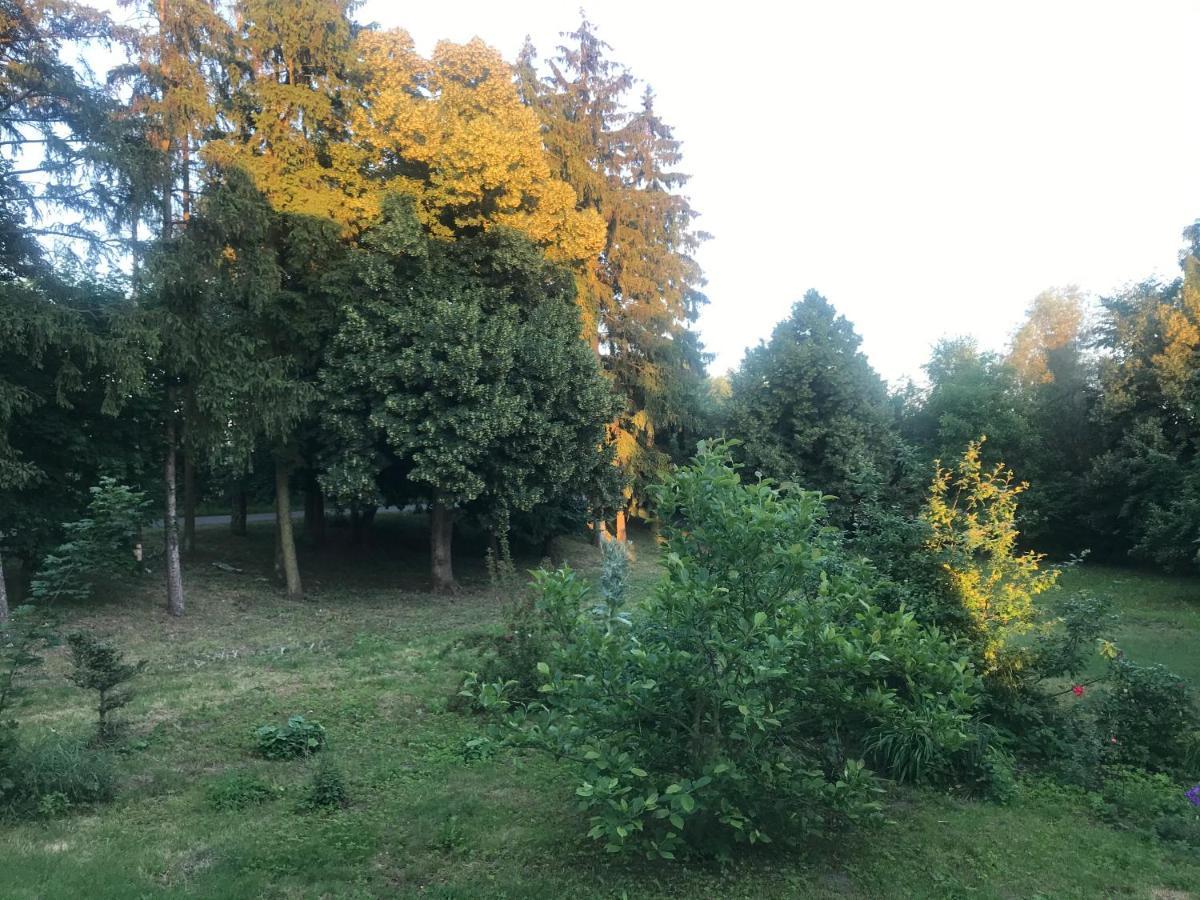 Zabytkowy Drewniany Dom Z 1887 Roku Nowy Dwór Gdański Exteriér fotografie